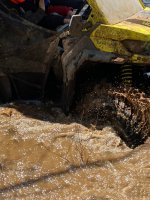 Photos from 2022 279761253 3213808978895744 781865546643914200 n