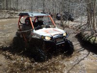 Photos from 2017 P4290144