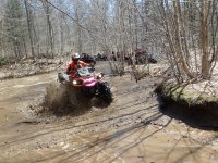 Photos from 2017 P4290149