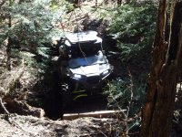 Photos from 2017 P4290111