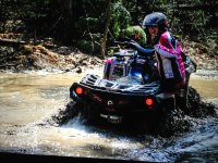 Photos from 2013 IMG 4702