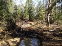 Photos from 2012 IMG 2306