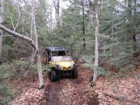 Photos from 2011 077  Small 