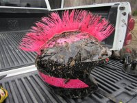 Photos from 2011 080  Small 