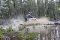 Photos from 2011 IMG 4186