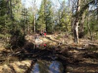 Photos from 2012 IMG 2306