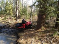 Photos from 2012 IMG 2312