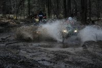 Photos from 2014 DSC 8289