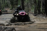 Photos from 2014 DSC 8418