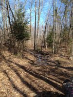 Photos from 2012 IMG 2315