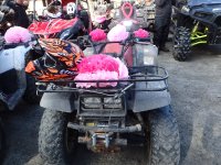 Photos from 2017 P4280076